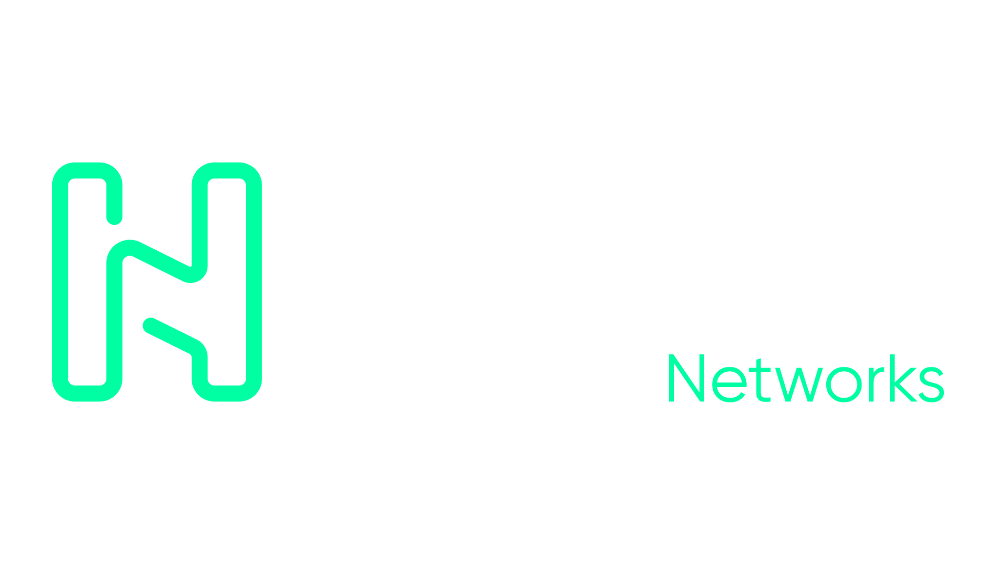Holdco Networks